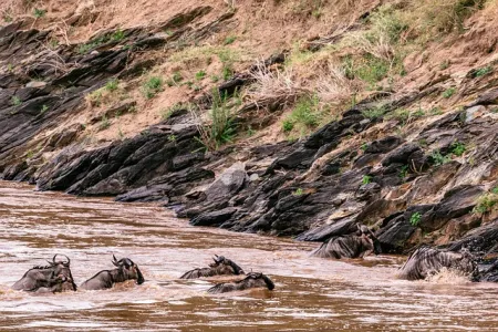 Zachwycające widoki podczas safari w Kenii