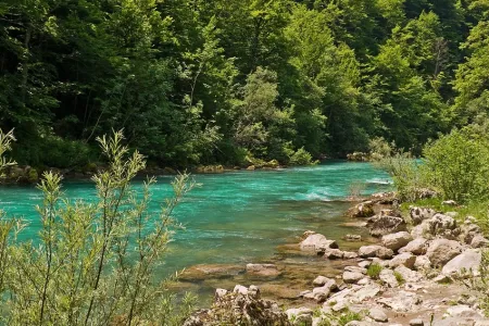 Zielone klify Kanionu Tary - natura Czarnogóry na jednym obrazie