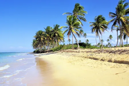 Rajskie plaże Dominikany - egzotyczna ucieczka do raju na Ziemi