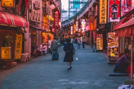 Najlepsze trasy podróży po Japonii dla różnych typów turystów