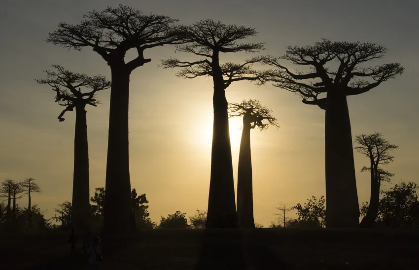 Antananarywa - fascynująca stolica Madagaskaru