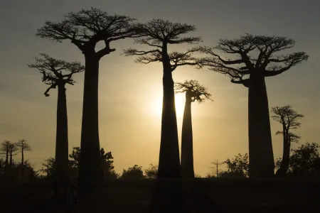 Antananarywa - fascynująca stolica Madagaskaru