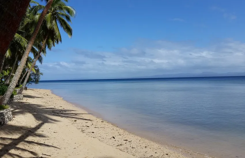 Bujne lasy tropikalne Suva Forest Park na Fidżi