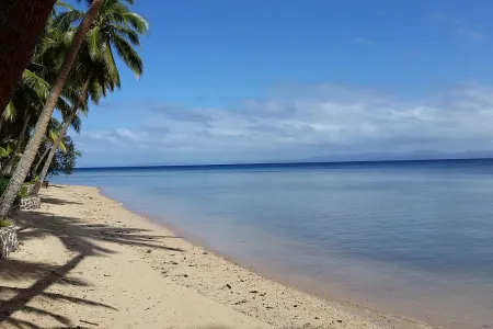 Bujne lasy tropikalne Suva Forest Park na Fidżi