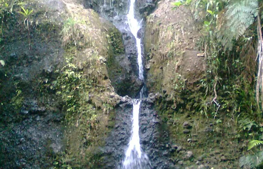 Odkryj uroki Colo-i-Suva Forest Park na Fidżi